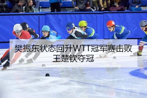 樊振东状态回升WTT冠军赛击败王楚钦夺冠